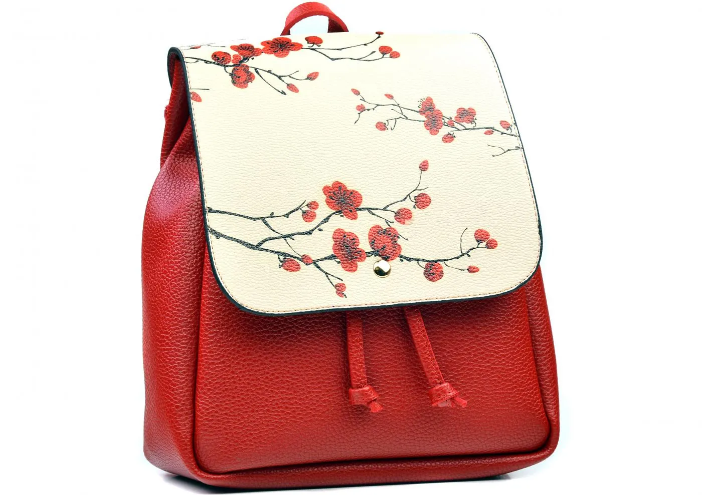 Backpack CAN2601