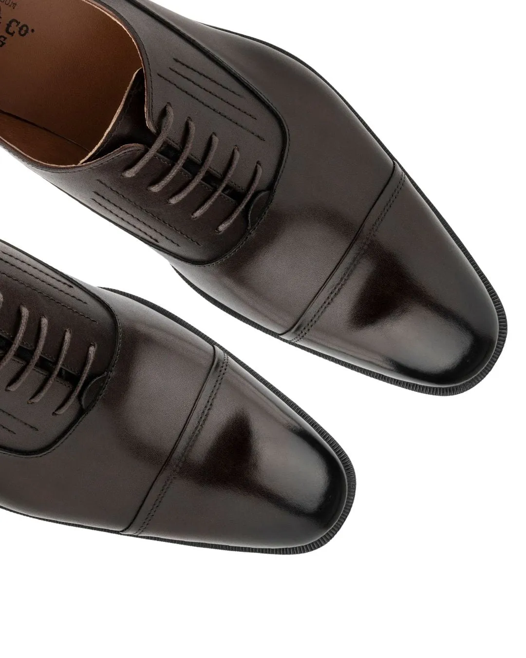 Men's Pence Oxford