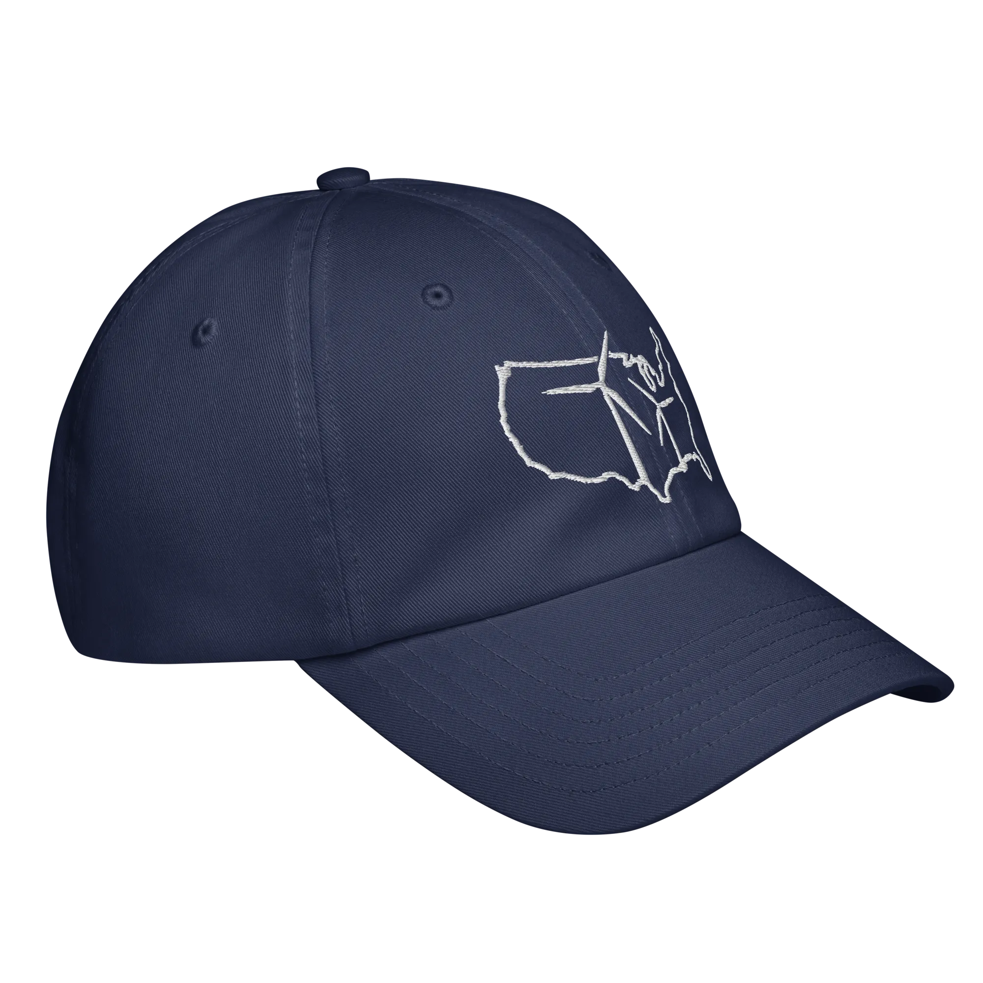 USA Wind Under Armour dad hat